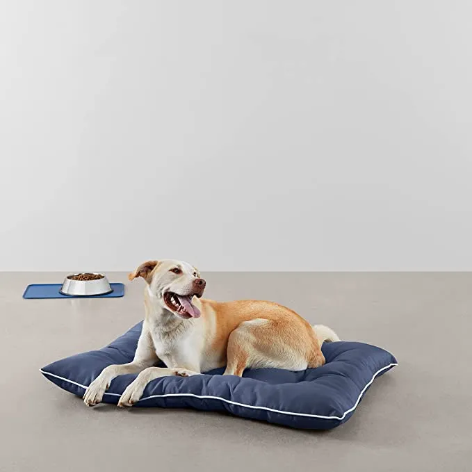 🐶 Outdoor Indoor Dog Bed Calming, Easy Clean, Vibrant Life Ruff & Tuff Pet  Dog Bed Medium, Blue