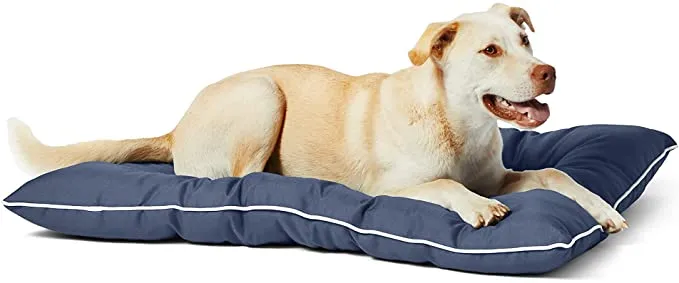 🐶 Outdoor Indoor Dog Bed Calming, Easy Clean, Vibrant Life Ruff & Tuff Pet  Dog Bed Medium, Blue