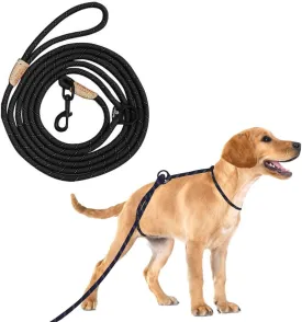 12ft No Pull No Choke Leash Long Rope Dog Leash, Anti Pulling, Dog Leads for Walking, Double Hook & Escape Proof for All Breeds, Reflective Black