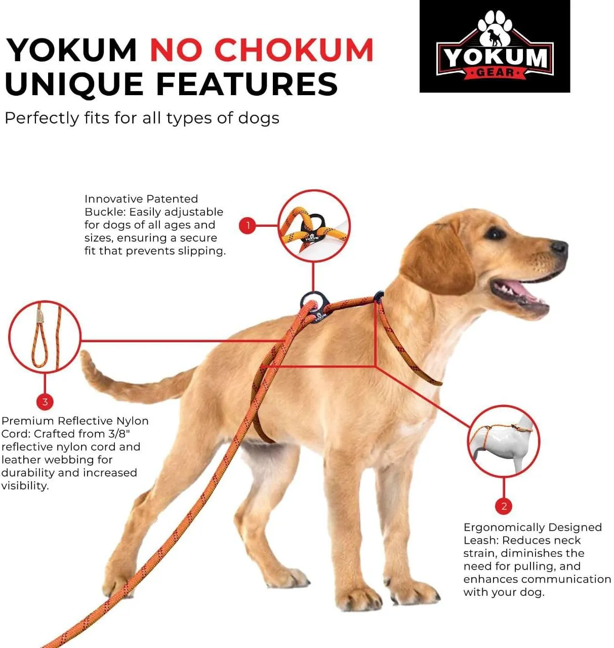 12ft No Pull No Choke Leash Long Rope Dog Leash, Anti Pulling, Dog Leads for Walking, Double Hook & Escape Proof for All Breeds, Reflective Black