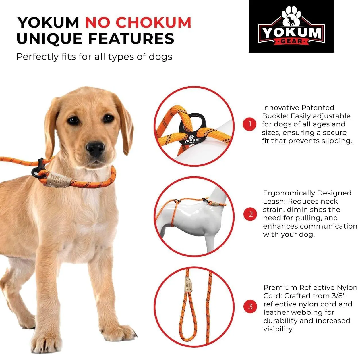 12ft No Pull No Choke Leash Long Rope Dog Leash, Anti Pulling, Dog Leads for Walking, Double Hook & Escape Proof for All Breeds, Reflective Black