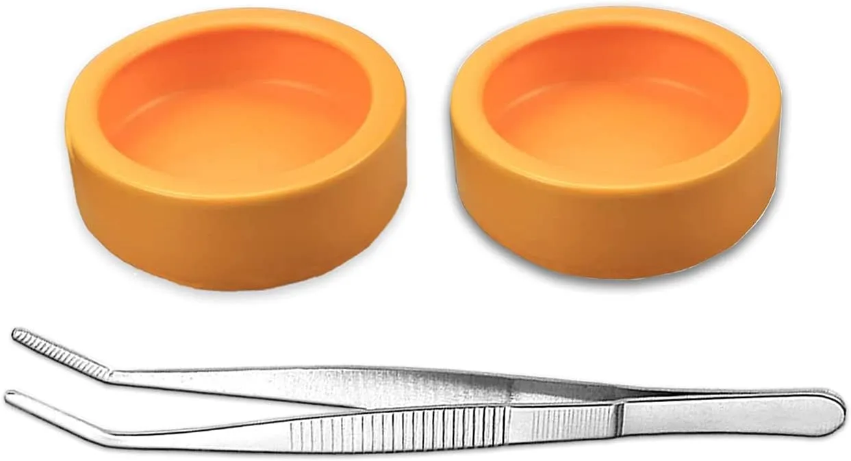 2 Pack Worm Dish Reptile Food Bowl Bearded Dragon Ceramic Bowl with Feeding Tongs (Yellow-Medium)