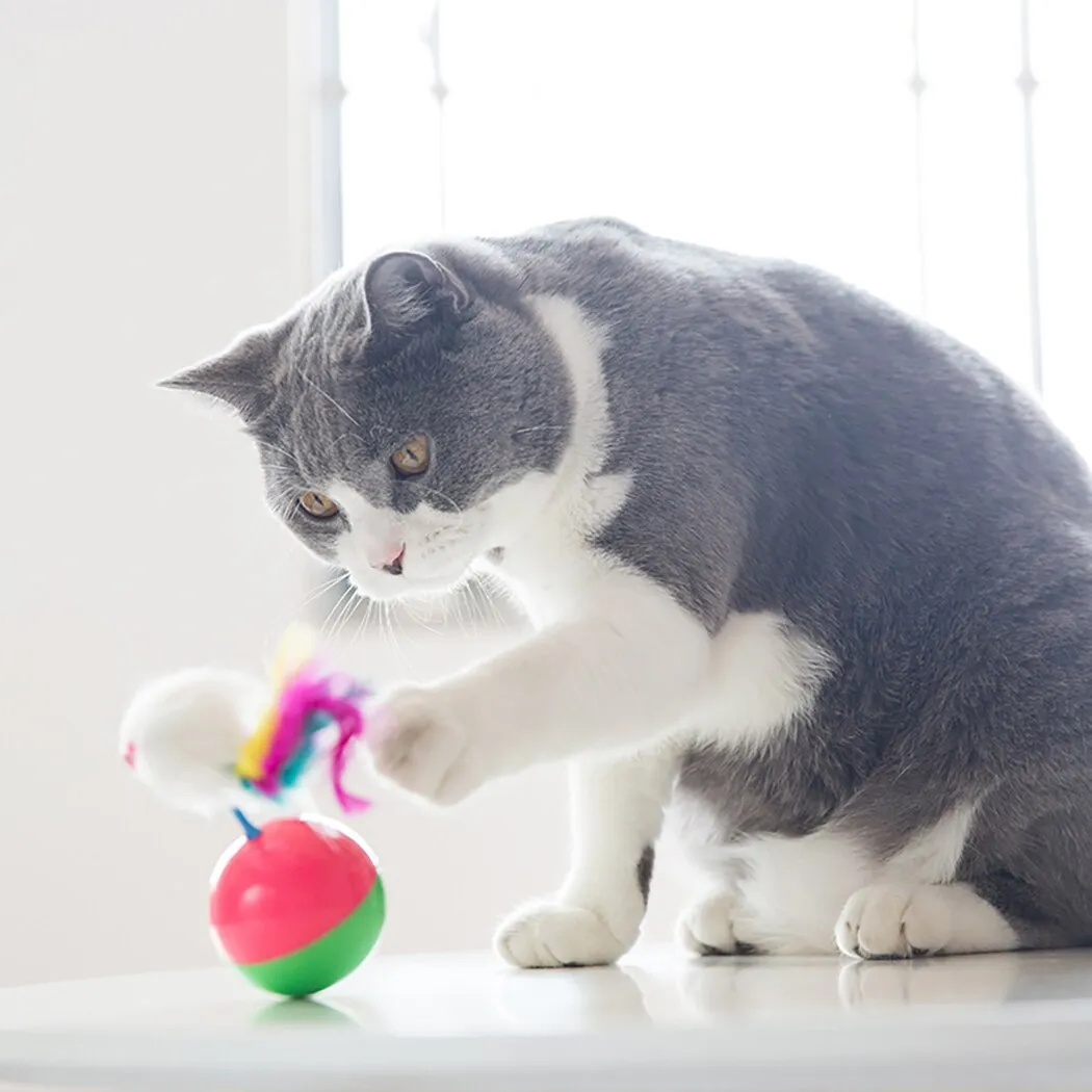 3pcs Funny Cat Toys Tumbler Mouse Fake Feather Cat Training Toy Pet Interactive Toy Pet Supplies