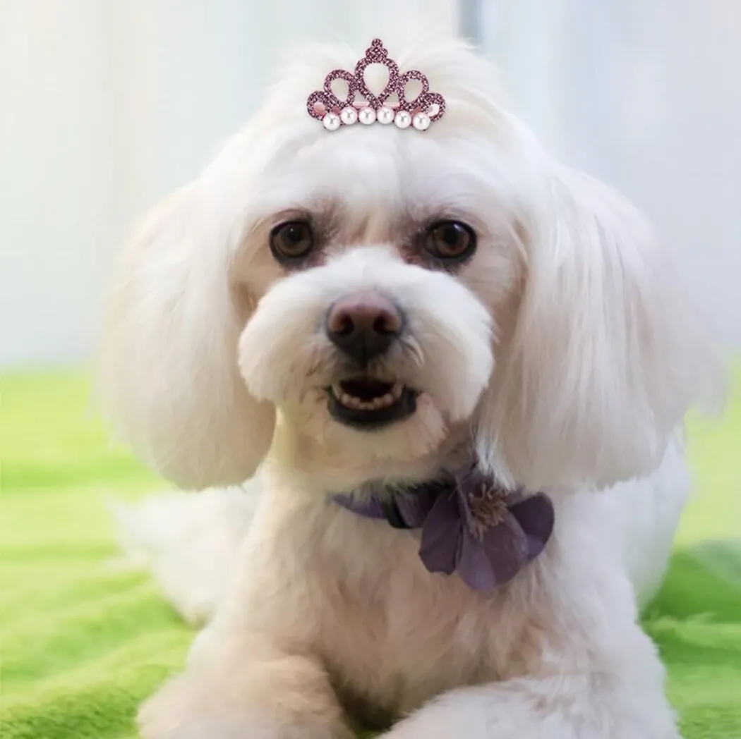 5pcs Pet Hair Clip Faux Pearl Crown Shape Dog Hair Clip Pet Hair Accessory Clothing Accessories Pet Dress Up For Party