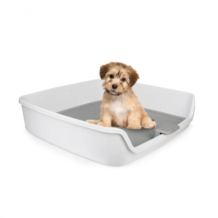 All For Paws Go Fresh Dog Pee Pad Holder
