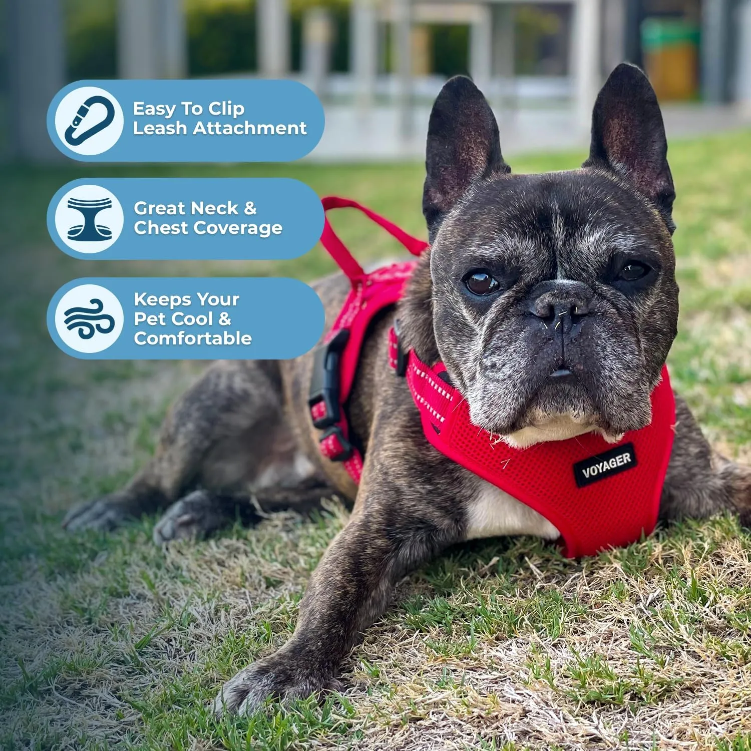 Best Pet Supplies Voyager Adjustable Dog Vest Harness Breathable No Pull Harness for Small, Medium, Large Dogs, Harness for Walking, Jogging, Easy Step-in, Reflective Stripes - Red, M