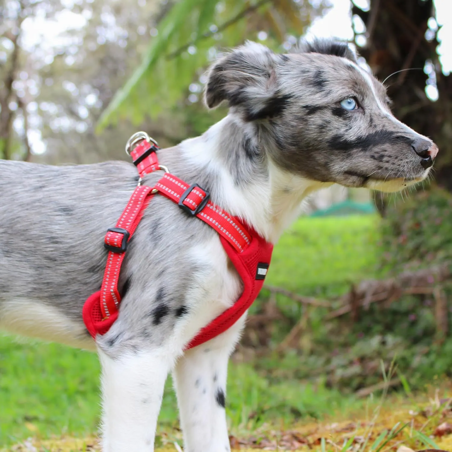 Best Pet Supplies Voyager Adjustable Dog Vest Harness Breathable No Pull Harness for Small, Medium, Large Dogs, Harness for Walking, Jogging, Easy Step-in, Reflective Stripes - Red, M