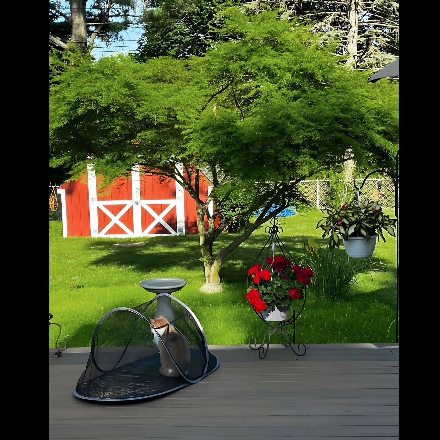 Cat Tent Outdoor, Pet Enclosure Tent Suitable for Cats and Small Animals, Indoor Playpen Portable Exercise Tent with Carry BagBlack