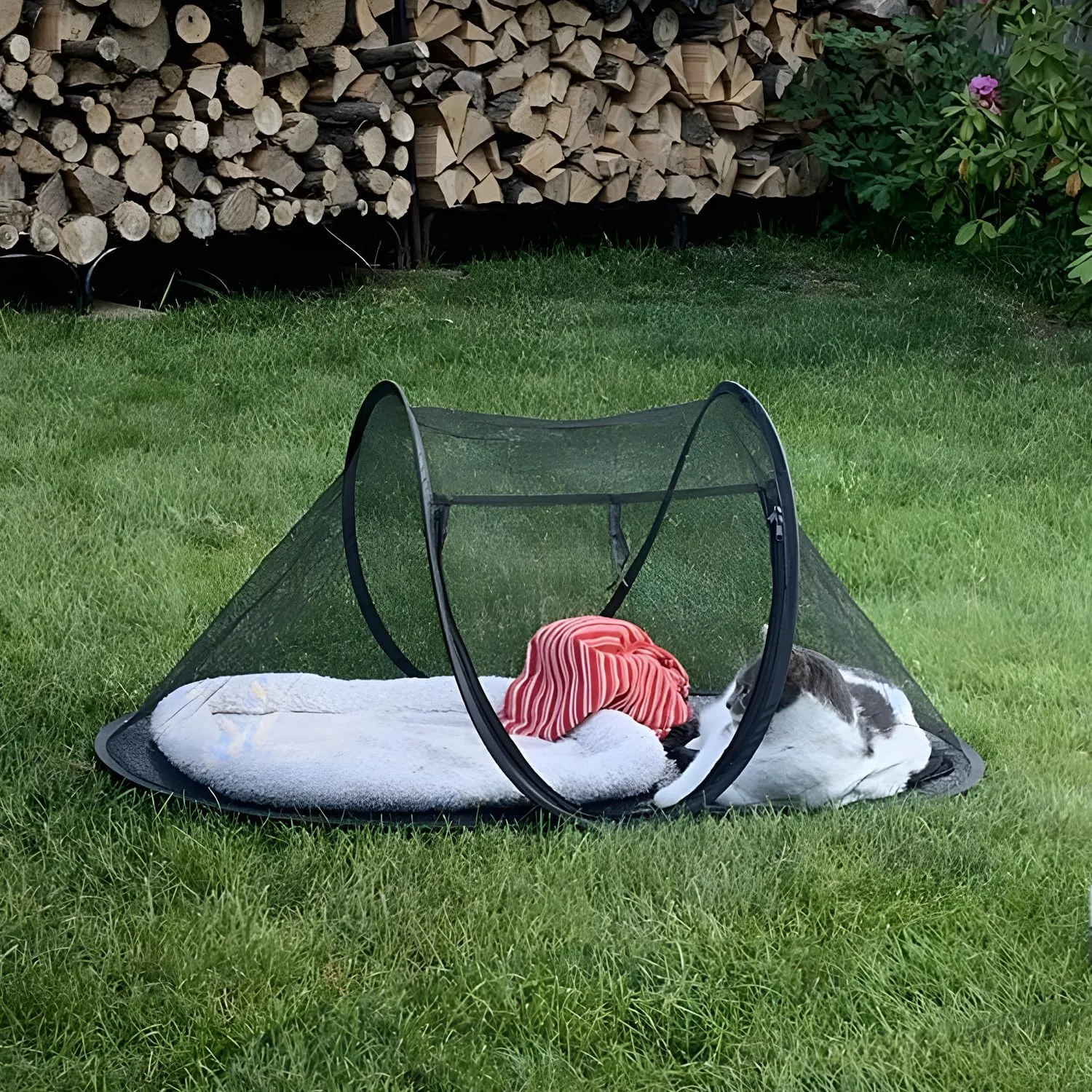 Cat Tent Outdoor, Pet Enclosure Tent Suitable for Cats and Small Animals, Indoor Playpen Portable Exercise Tent with Carry BagBlack