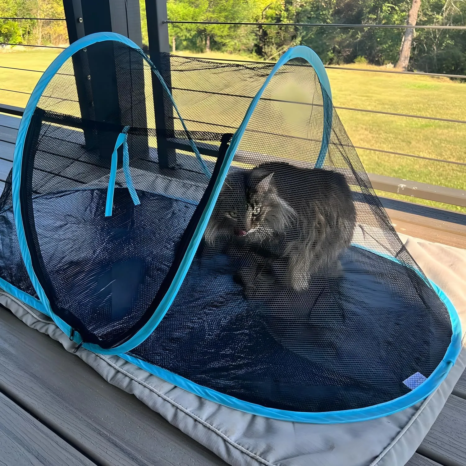 Cat Tent Outdoor, Pet Enclosure Tent Suitable for Cats and Small Animals, Indoor Playpen Portable Exercise Tent with Carry BagBlack