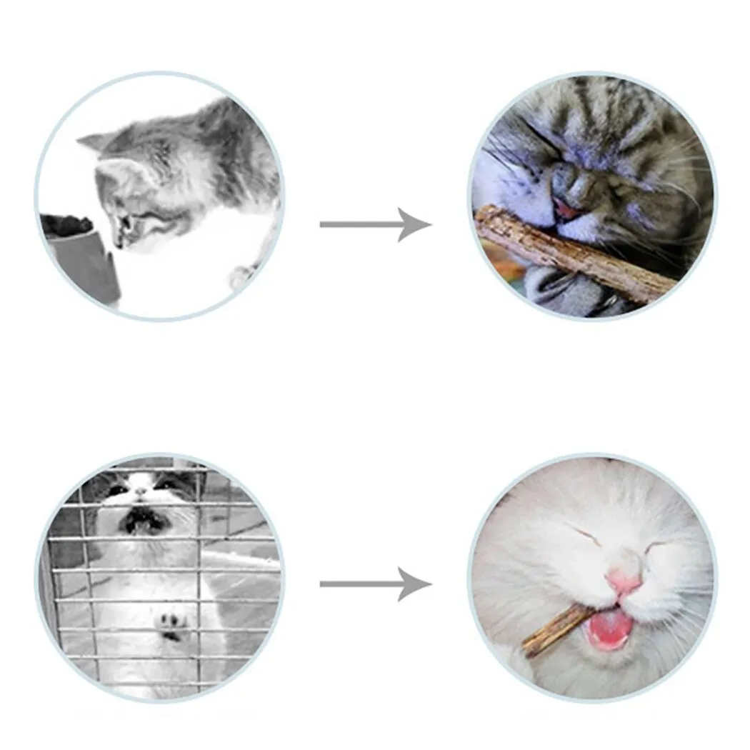Cat Toys Silvervine Rattan Ball Cat Teaser Toy Cat Interactive Toy Cat Chew Toys Pet Supplies