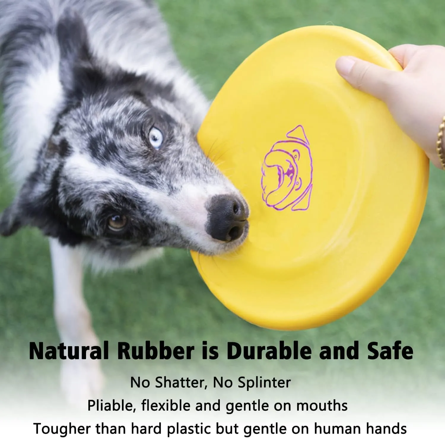 Competition Dog Flyer - 3 Pcs Soft, Indestructible Rubber Dog Toys - Floats On Water, Gentle On Teeth and Gums