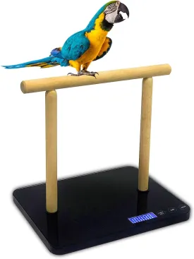Digital Bird Scale with Perch, Scale Grams, Max 44lbs, Capacity with Precision up to 1g, Black, Suitable for Parrot and All Kinds of Bird