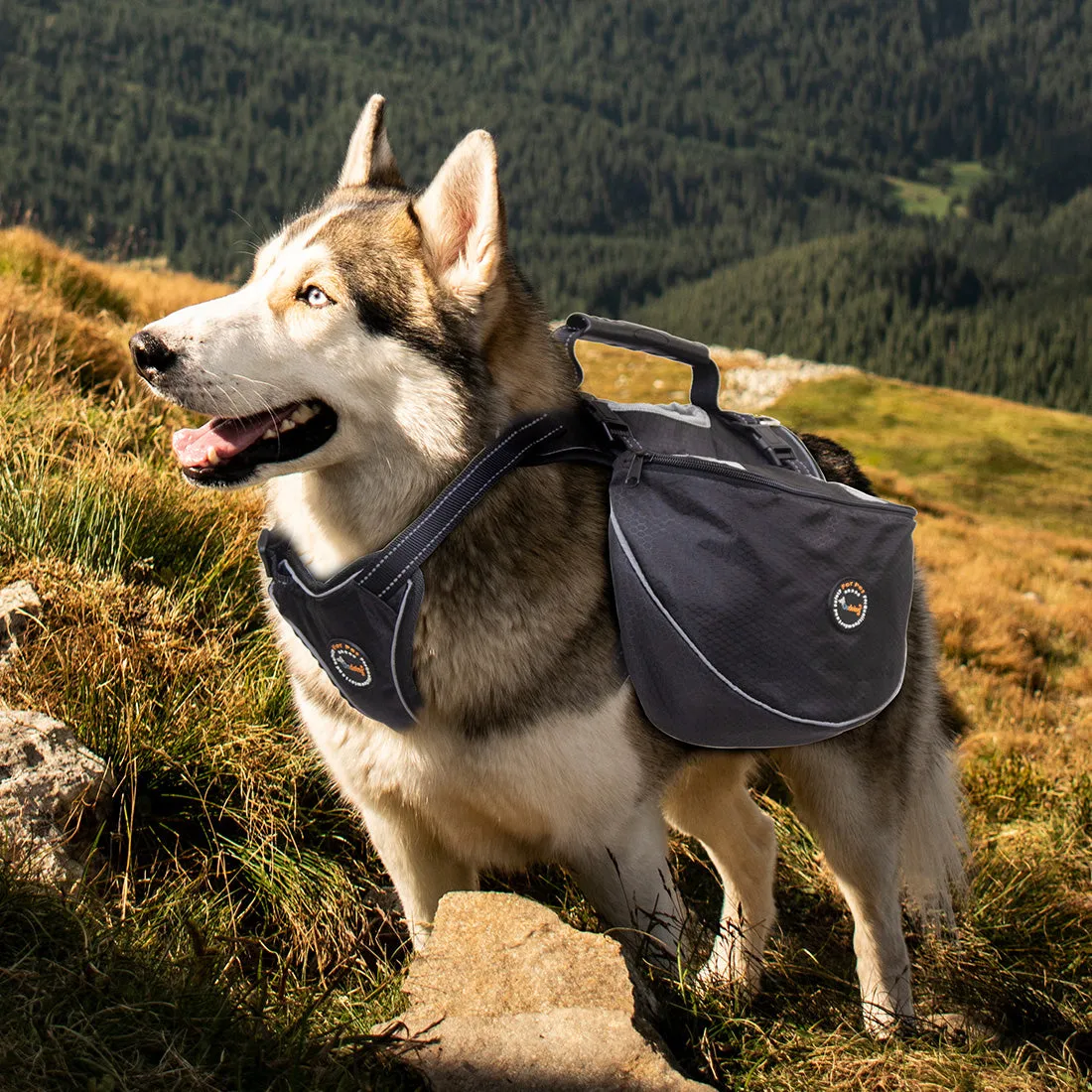 Dog Backpack Harness Saddle Bag Reflective Travel Hiking Pet Adjustable Carrier