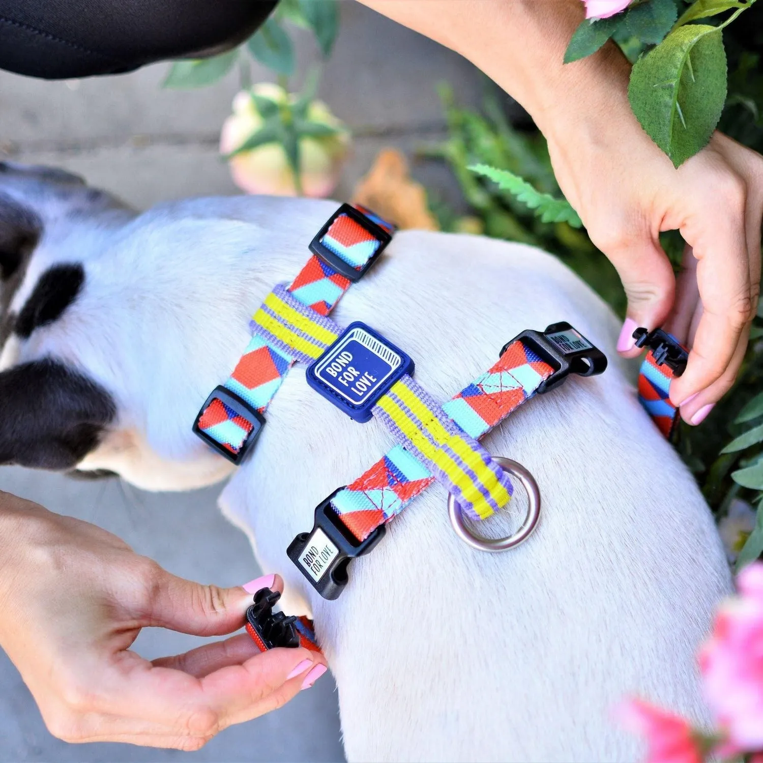 Dog Strap Harness - Rhombus