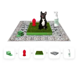 DoggieLawn Potty Training 5-in-1 Bundle