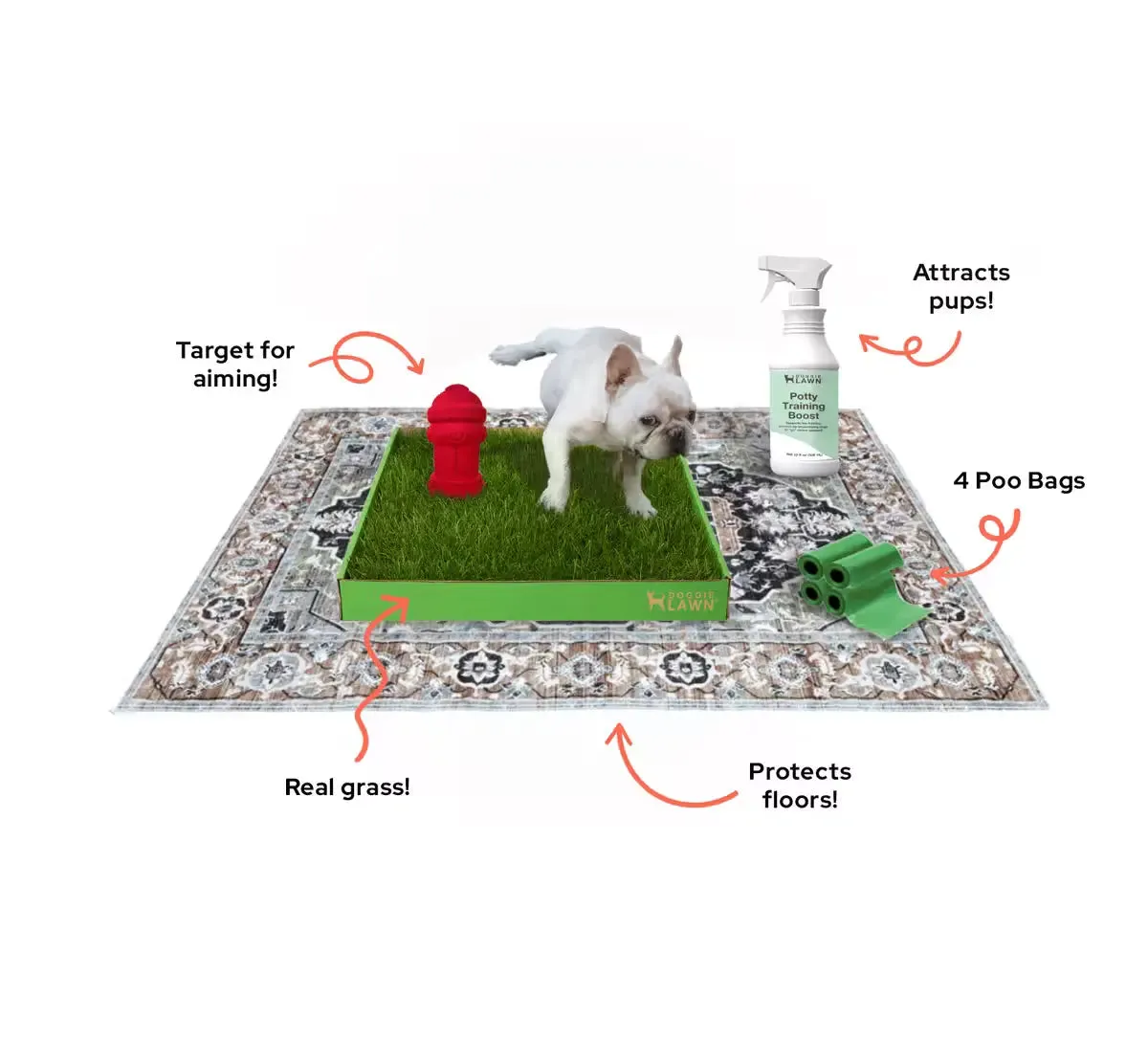 DoggieLawn Potty Training 5-in-1 Bundle