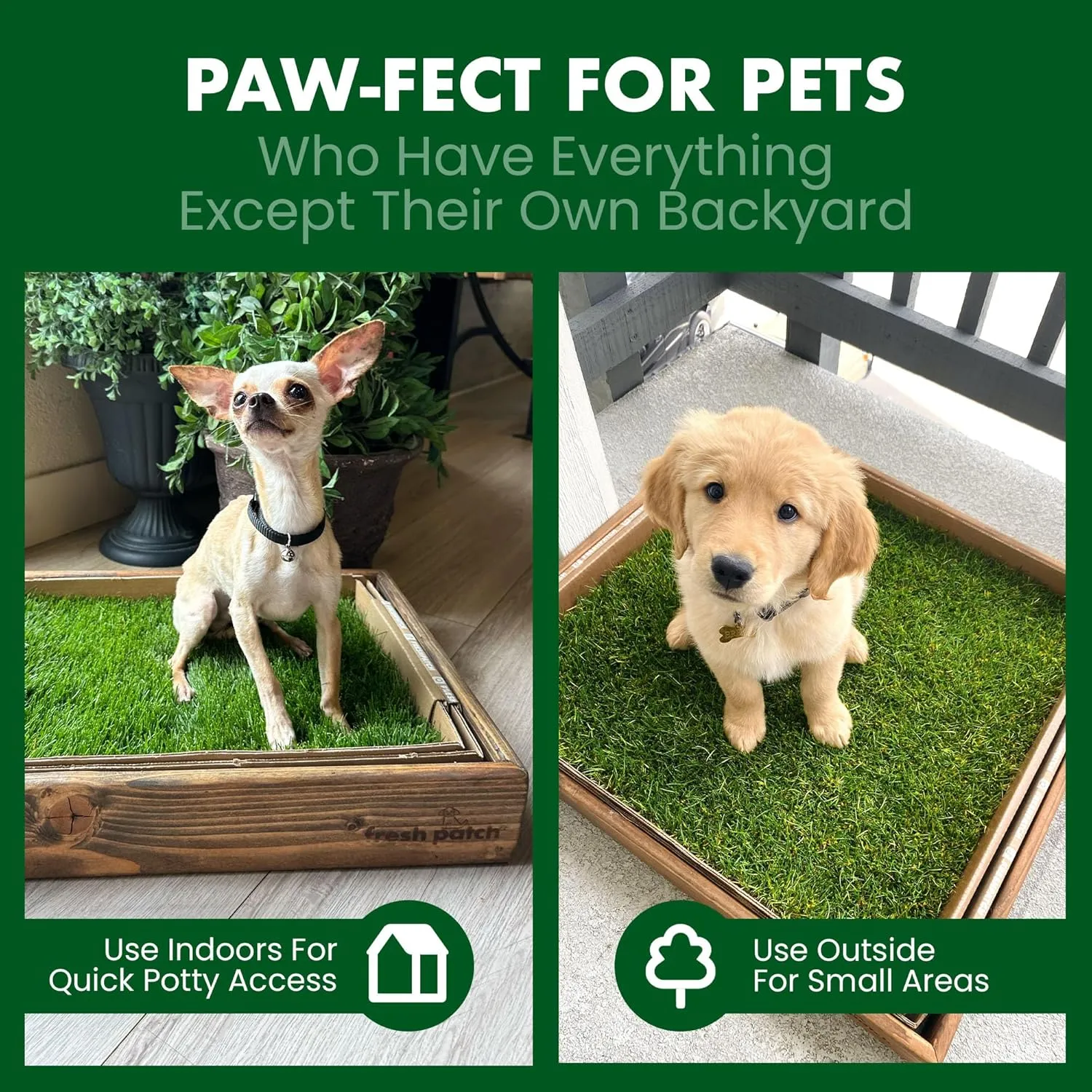 Fresh Patch Real Grass Patch for Dogs, Cats, and Extra Large Pets 30 Pounds and Above  Disposable Pet Grass Pee Pads with Tray  Indoor and Outdoor Potty Training Mat (24 Inches x 48 Inches)