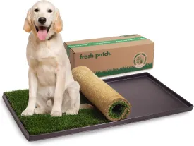 Fresh Patch Real Grass Patch for Dogs, Cats, and Extra Large Pets 30 Pounds and Above  Disposable Pet Grass Pee Pads with Tray  Indoor and Outdoor Potty Training Mat (24 Inches x 48 Inches)