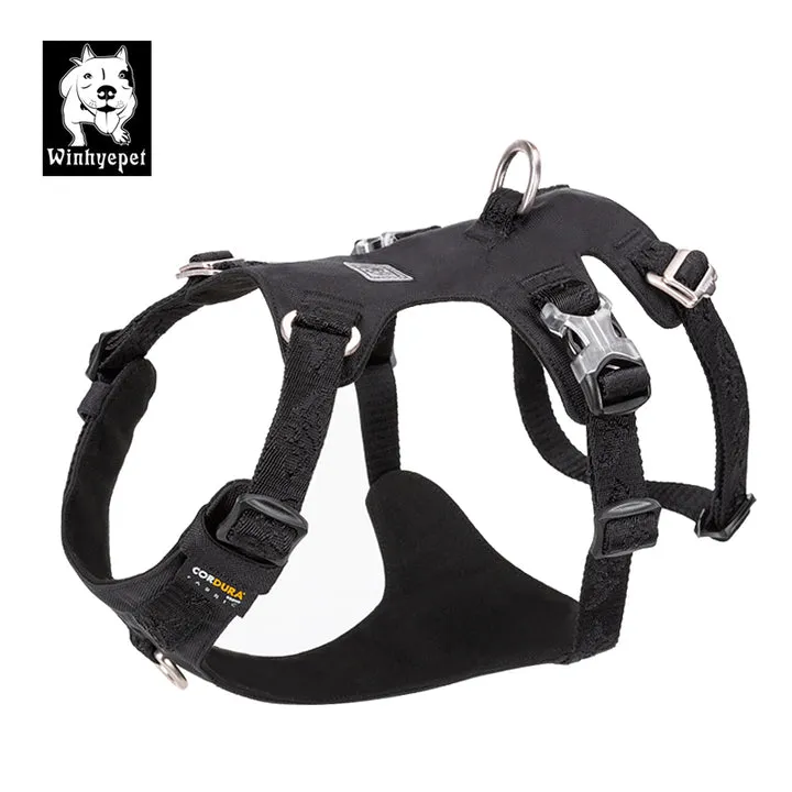 Harness - Whinhyepet Black (2XS)