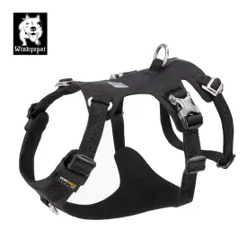 Harness - Whinhyepet Black (2XS)