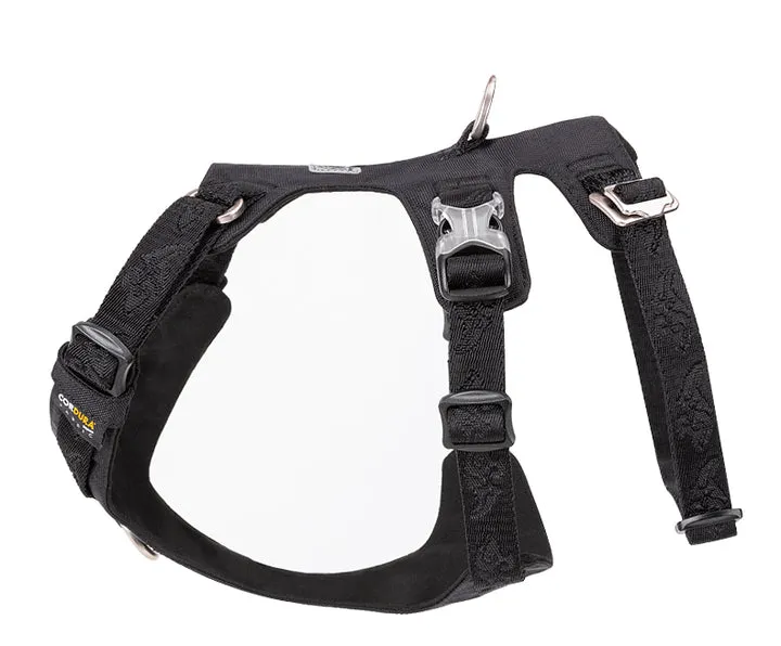 Harness - Whinhyepet Black (2XS)