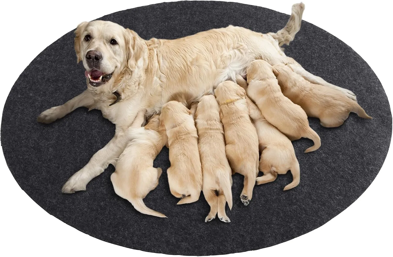 HOMBYS Whelping Pads for Round Whelping Box, Washable & Absorbent Whelping Box Liner Mat, Waterproof Pee Pad for Dog Puppy, Reusable Puppy Training Pads, Easy to Be Cut to Fit, 47"x47"