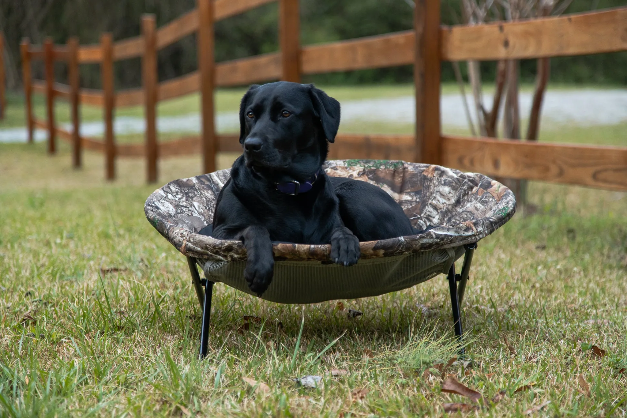 K&H Elevated Cozy Cot Pet Bed