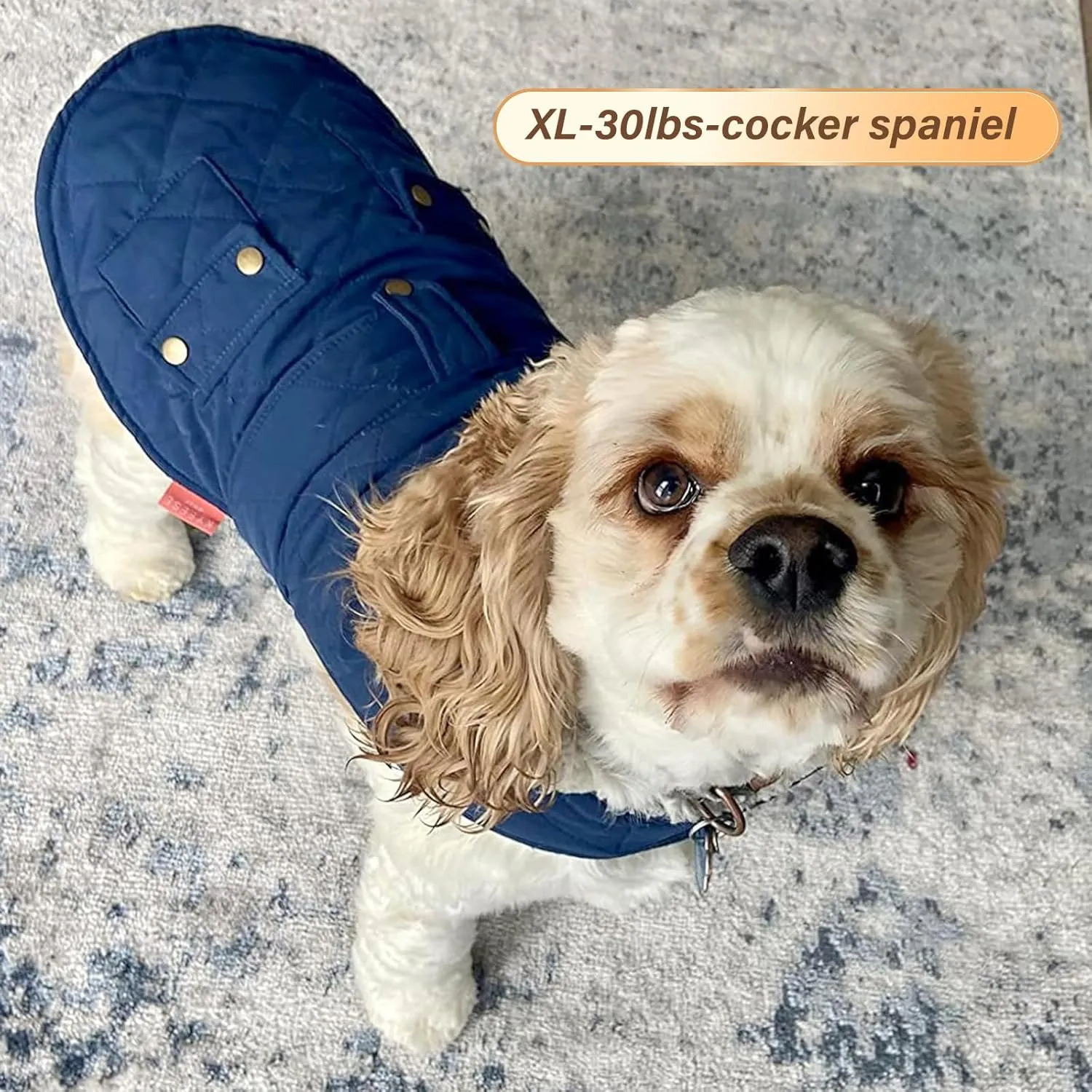 KYEESE Dog Coats Winter Dog Jacket Padded Sherpa Windproof Warm Dogs Coats with Leash Hole Pet Clothes
