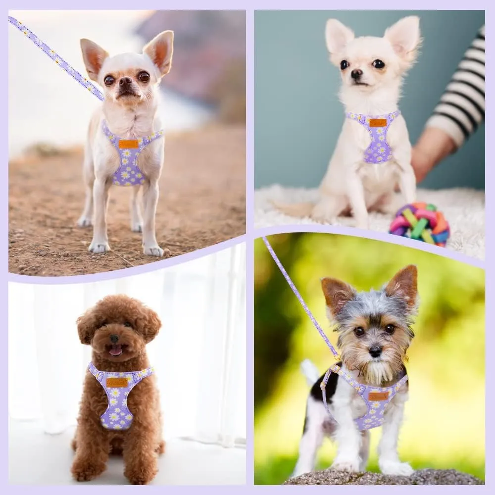 Lukovee Puppy Harness and Leash Set, No Pull Lightweight Soft Suede Adjustable Pet Harness Vest with Snap Buckle for Puppy Small and Medium Size Dog (Purple-XXS)