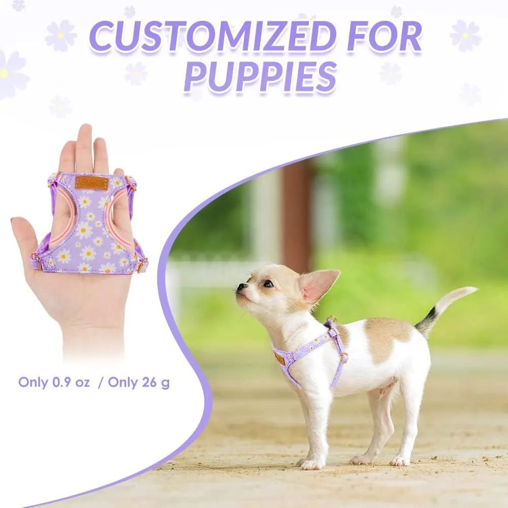 Lukovee Puppy Harness and Leash Set, No Pull Lightweight Soft Suede Adjustable Pet Harness Vest with Snap Buckle for Puppy Small and Medium Size Dog (Purple-XXS)