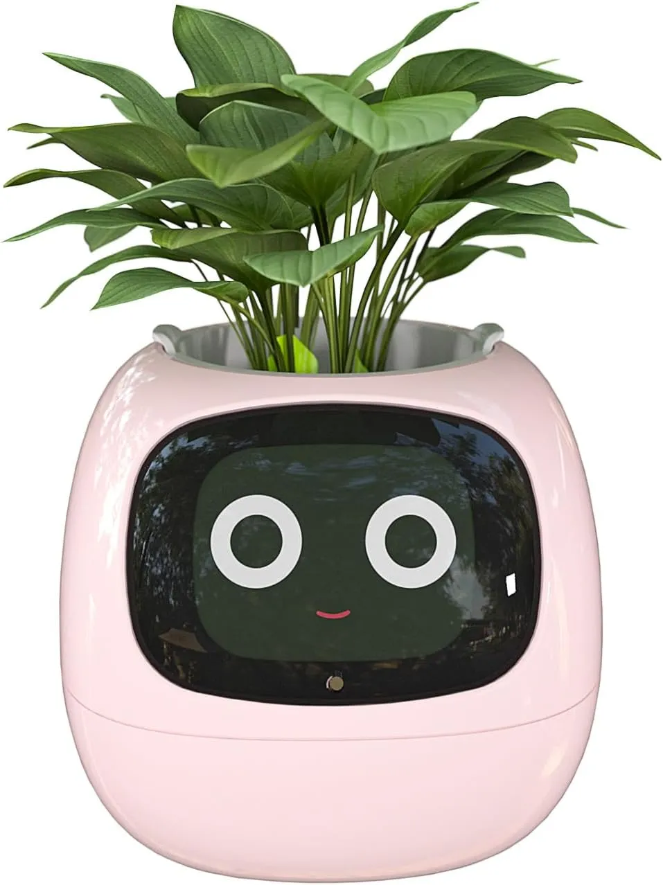 Masdio Smart Flowerpots, with Artificial Intelligence, Time Temperature Display, and Numerous Expressive Animations Based On The Environment, for Indoor Decoration, Gifts(Pink)