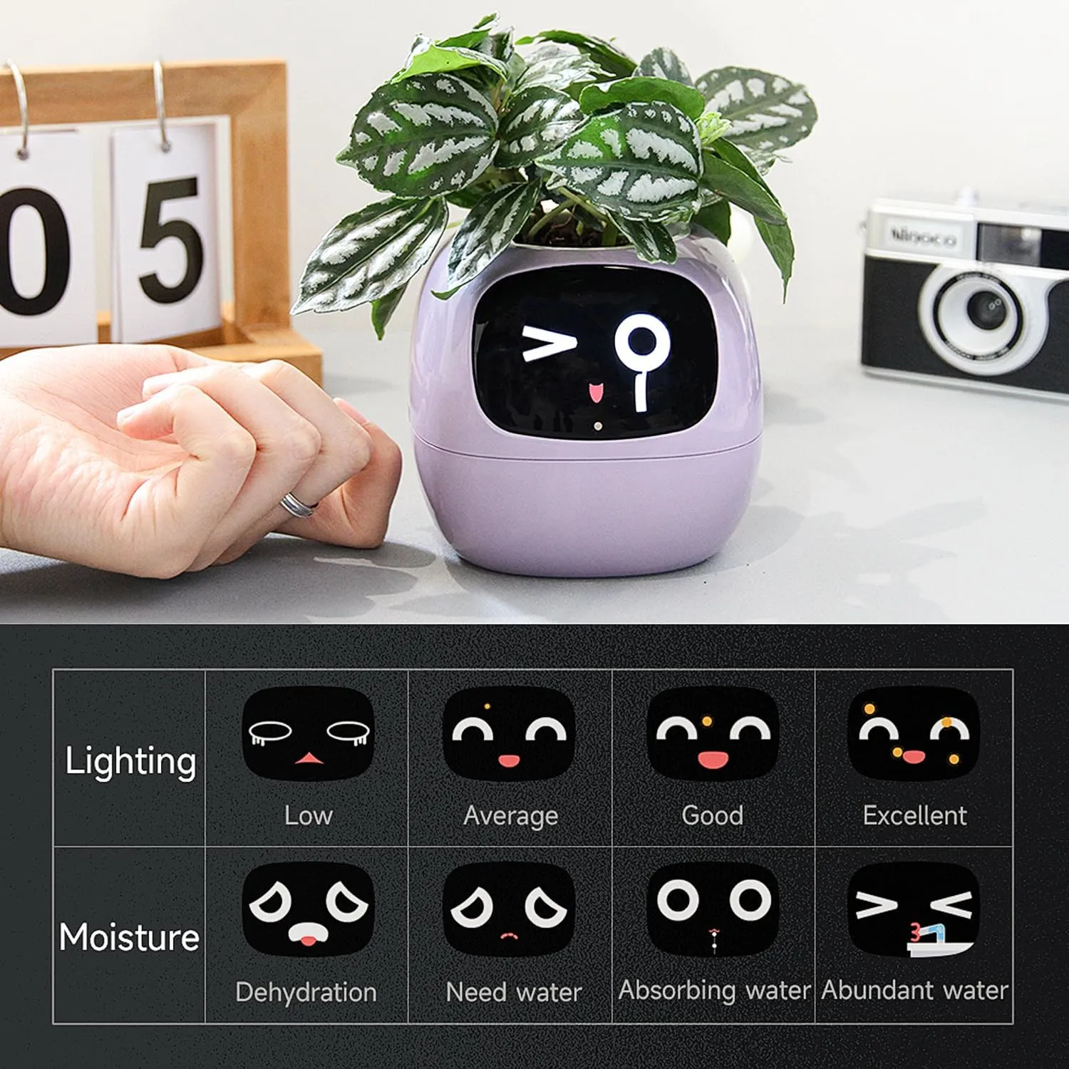 Masdio Smart Flowerpots, with Artificial Intelligence, Time Temperature Display, and Numerous Expressive Animations Based On The Environment, for Indoor Decoration, Gifts(Pink)