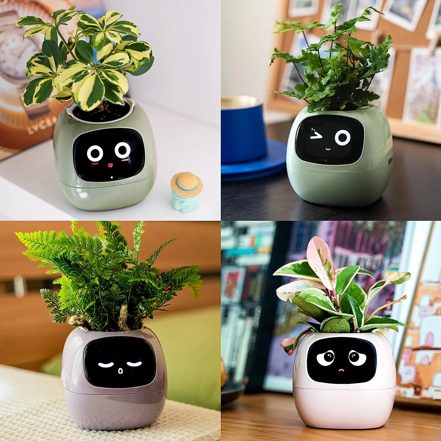 Masdio Smart Flowerpots, with Artificial Intelligence, Time Temperature Display, and Numerous Expressive Animations Based On The Environment, for Indoor Decoration, Gifts(Pink)