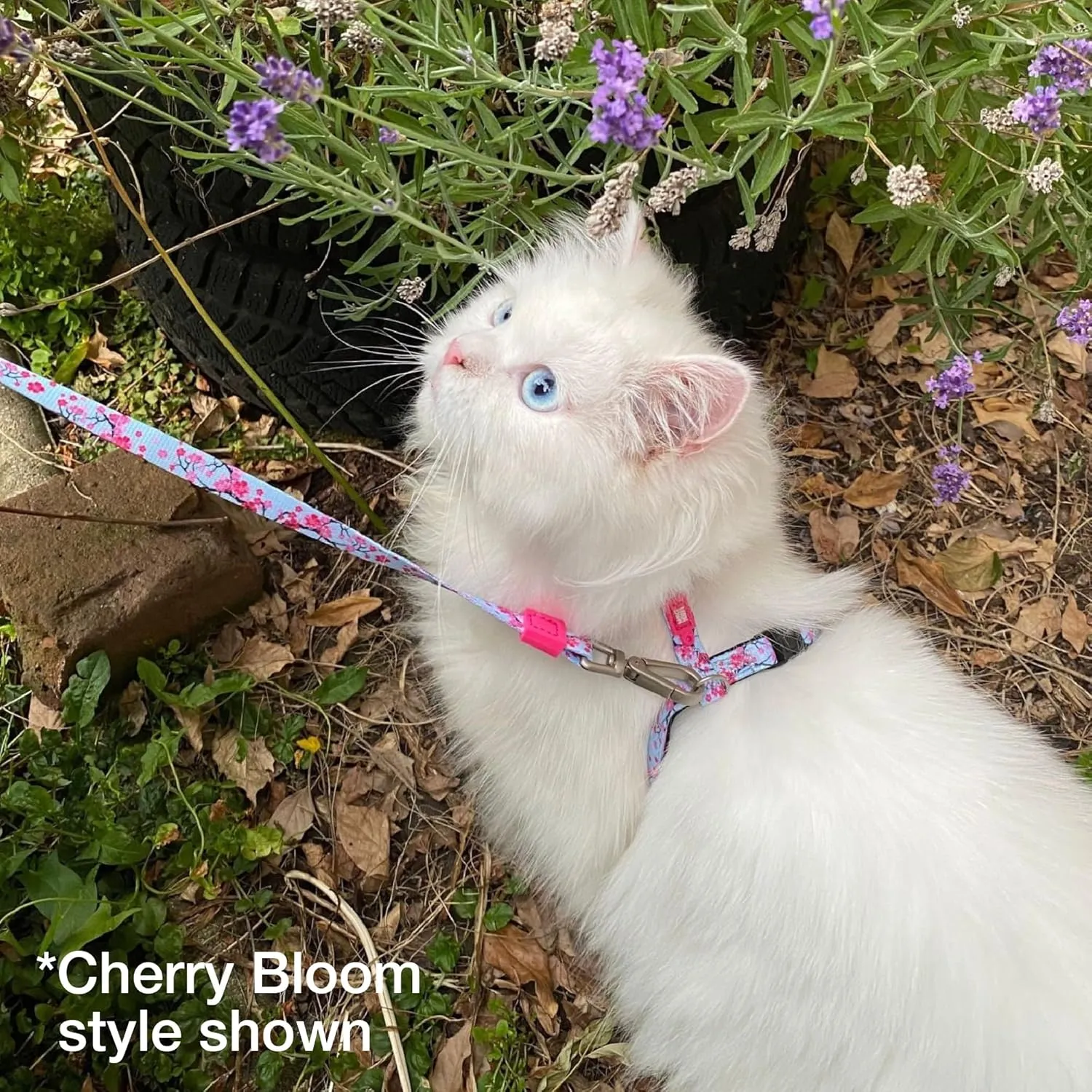 Max and Molly Adjustable Cat Harness and Leash Set - Escape-Proof Cat Harness with Leash for Outdoor Walking and Exploring - (Magic Zebra)