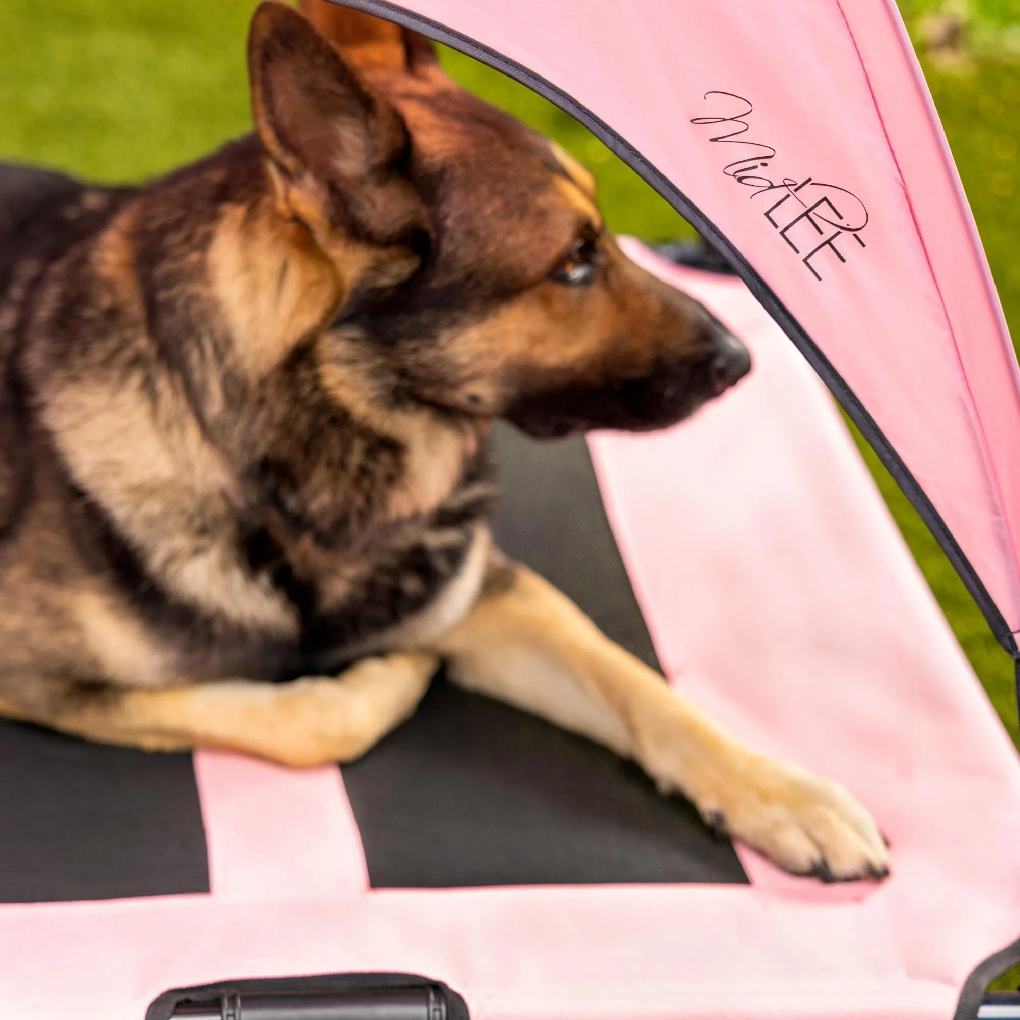 Midlee Pink Dog Cot Canopy