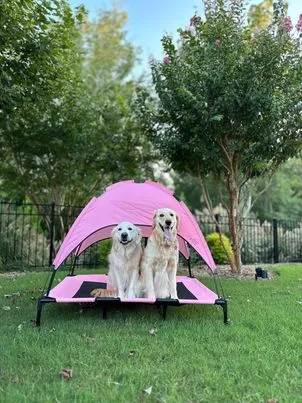 Midlee Pink Dog Cot Canopy