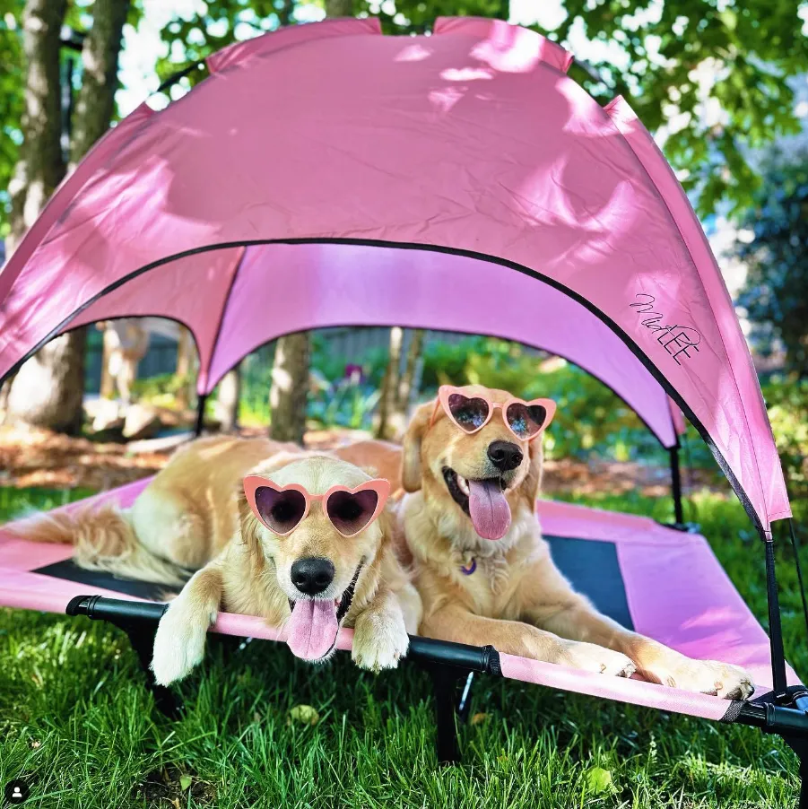 Midlee Pink Dog Cot Canopy
