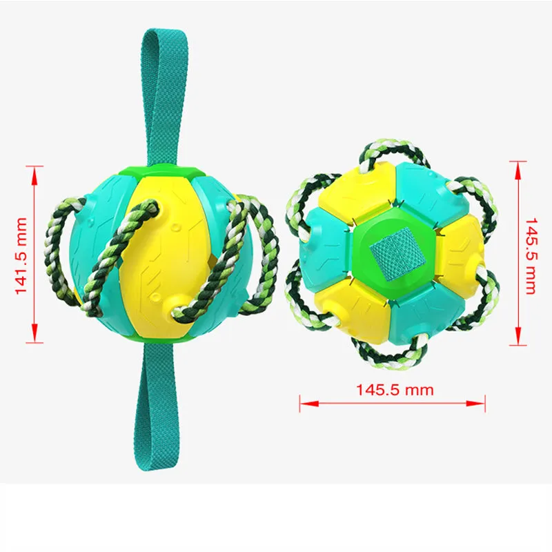 Multi-functional dog Frisbee ball