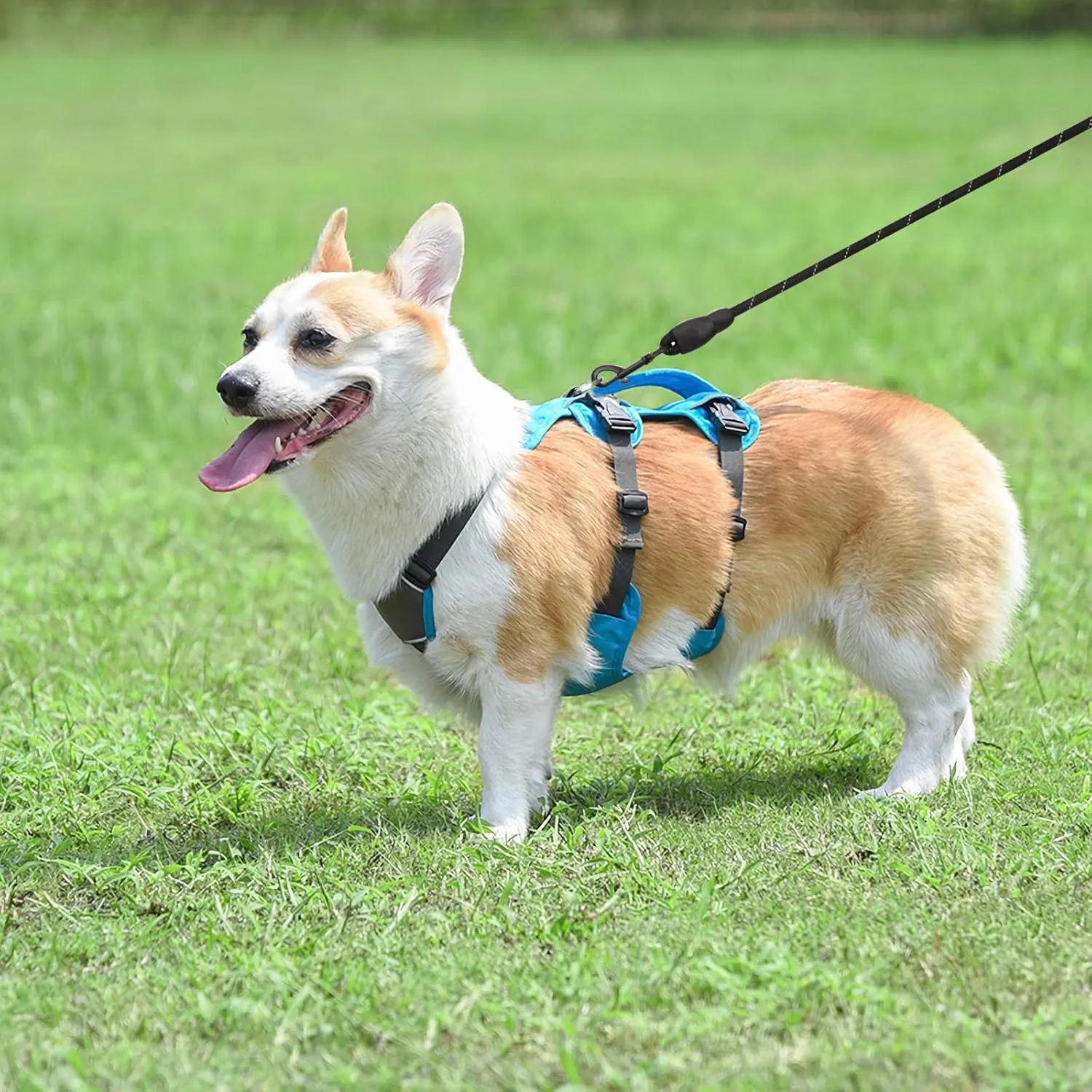 No-Pull Dog Harness, Reflective Waterproof Harness with Easy Control Handle for Safe Walking, Adjustable Dog Vest Harness for Large Medium Small Dog, Breathable Pet Harness with Leash Set