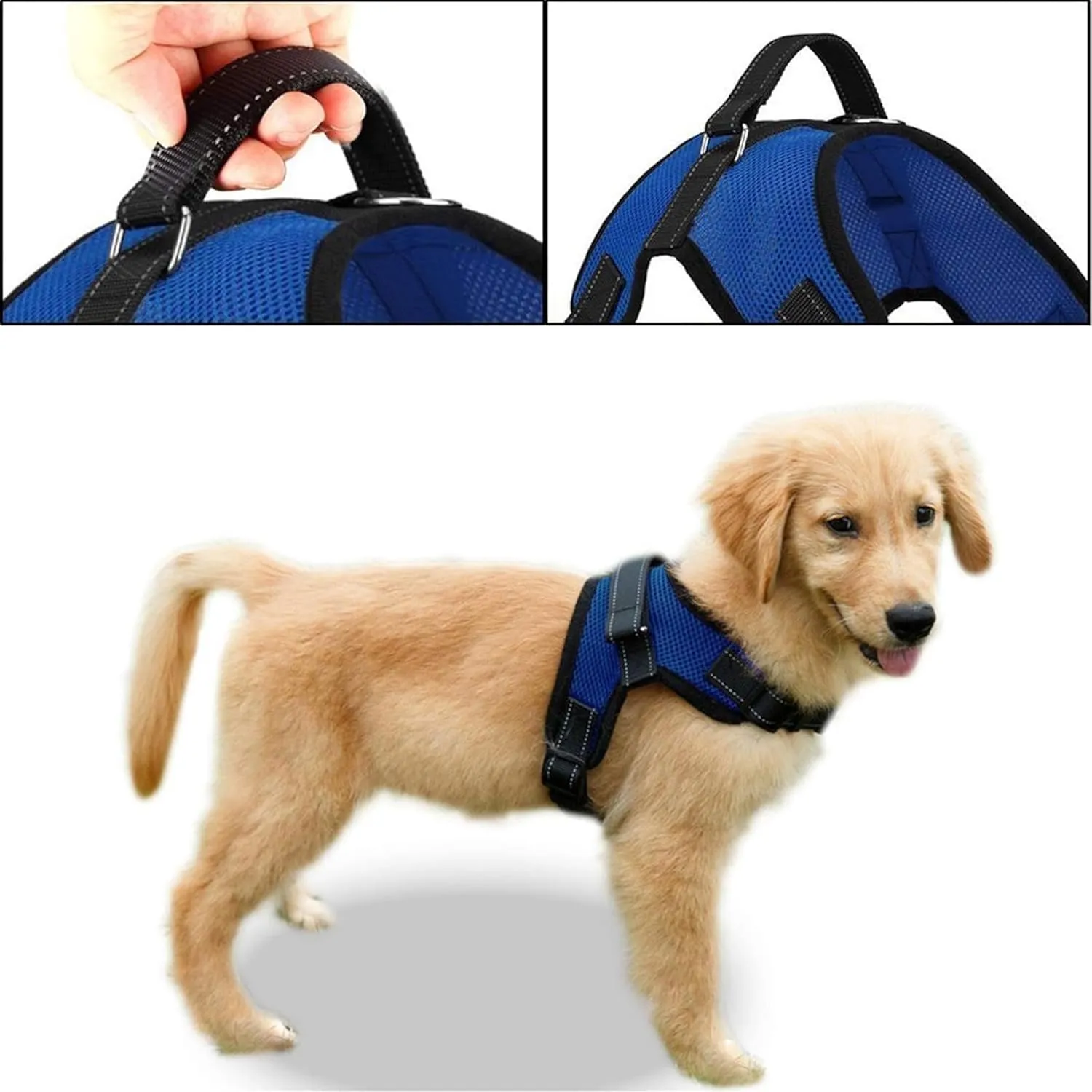 No Pull Reflective Adjustable Dog Harness With Handle- Comfortable Soft All Weather Mesh, Easy On Puppy Harness For Small Medium and Large Dogs (Blue) Medium
