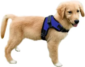 No Pull Reflective Adjustable Dog Harness With Handle- Comfortable Soft All Weather Mesh, Easy On Puppy Harness For Small Medium and Large Dogs (Blue) Medium