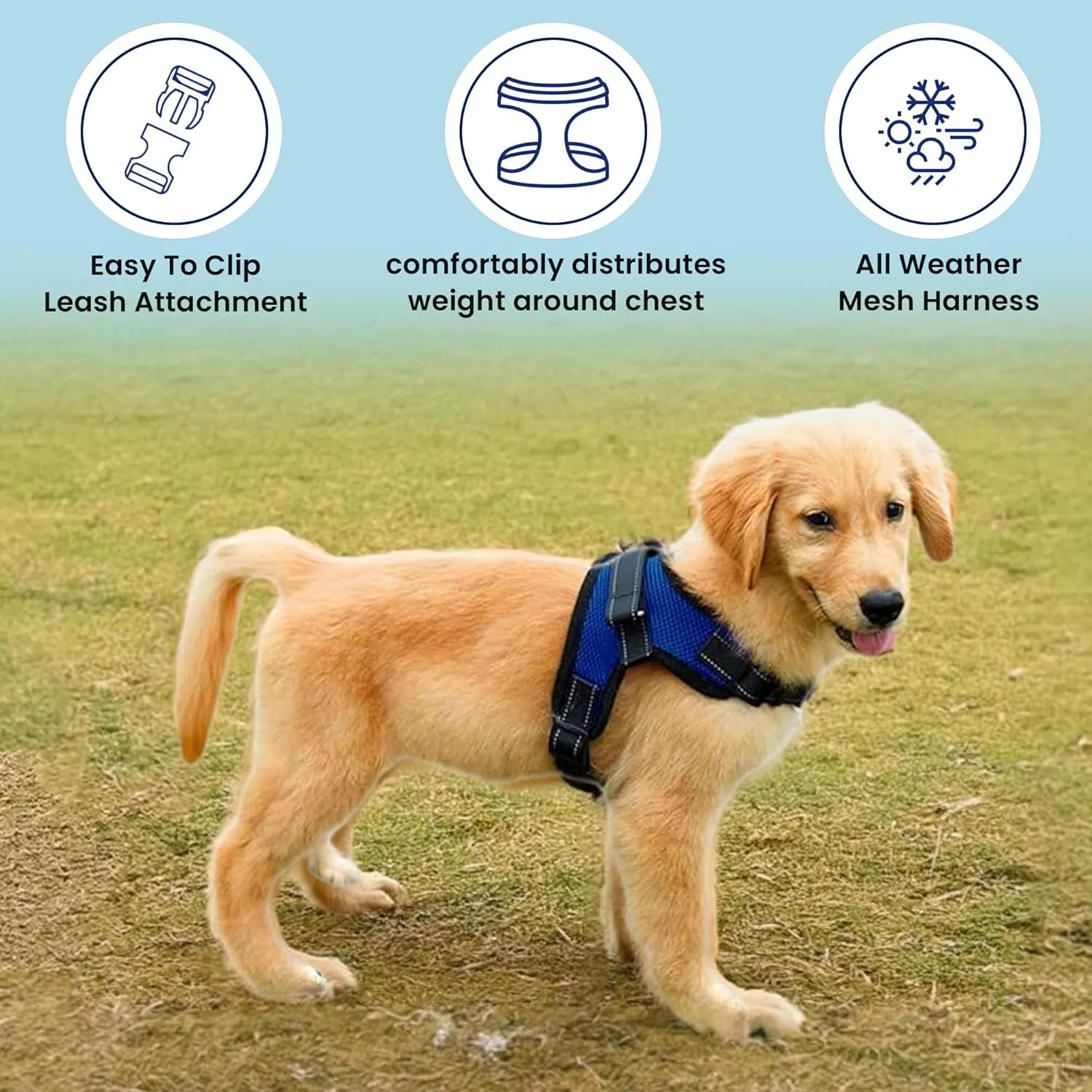 No Pull Reflective Adjustable Dog Harness With Handle- Comfortable Soft All Weather Mesh, Easy On Puppy Harness For Small Medium and Large Dogs (Blue) Medium