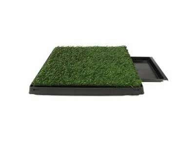 Pad Dog Grass with tray