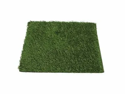 Pad Dog Grass with tray