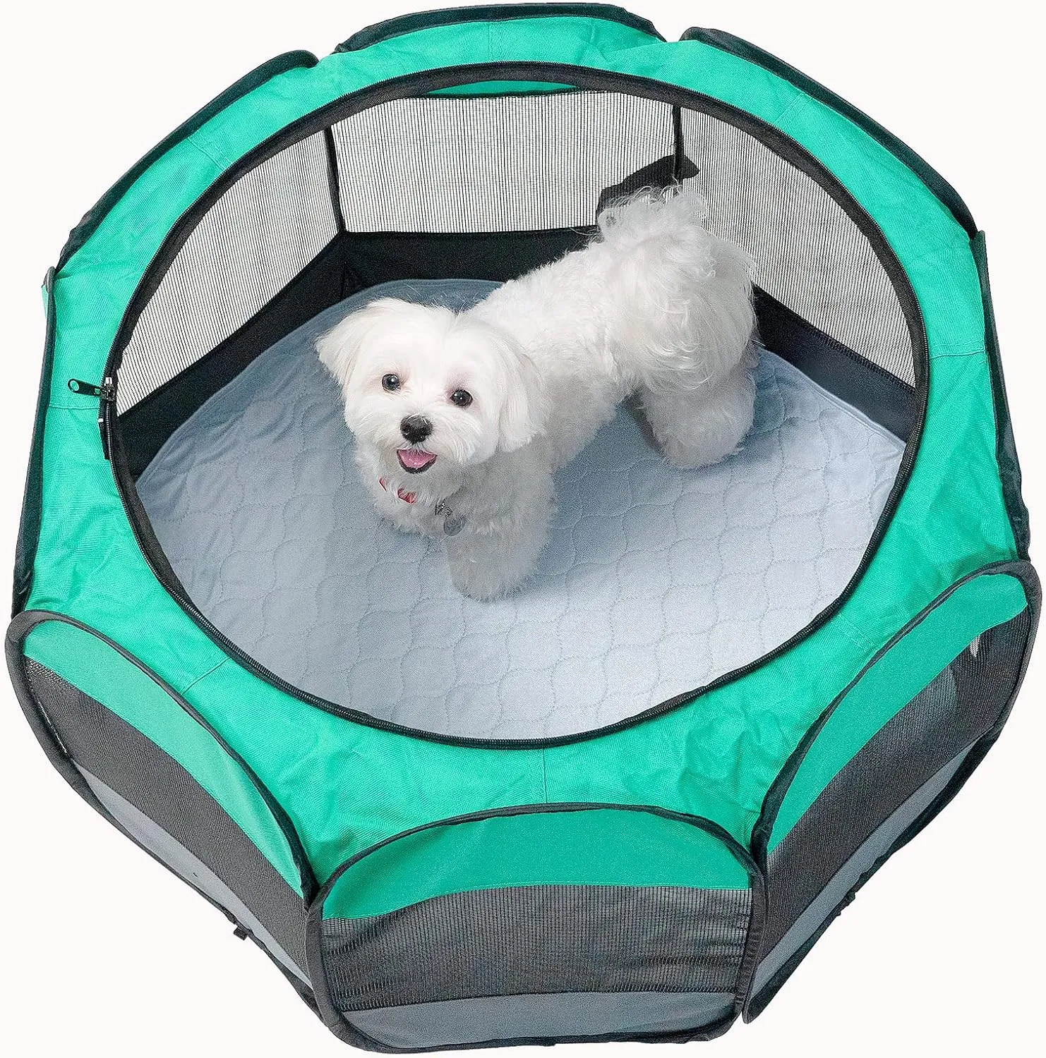 Paw Inspired Round Washable Pee Pads for Dogs (2 Pack) | Reusable Puppy Pads for Potty Training, Whelping, Waterproof Mat | Leakproof, Non-Slip Liners (29" Size, Pack of 2)