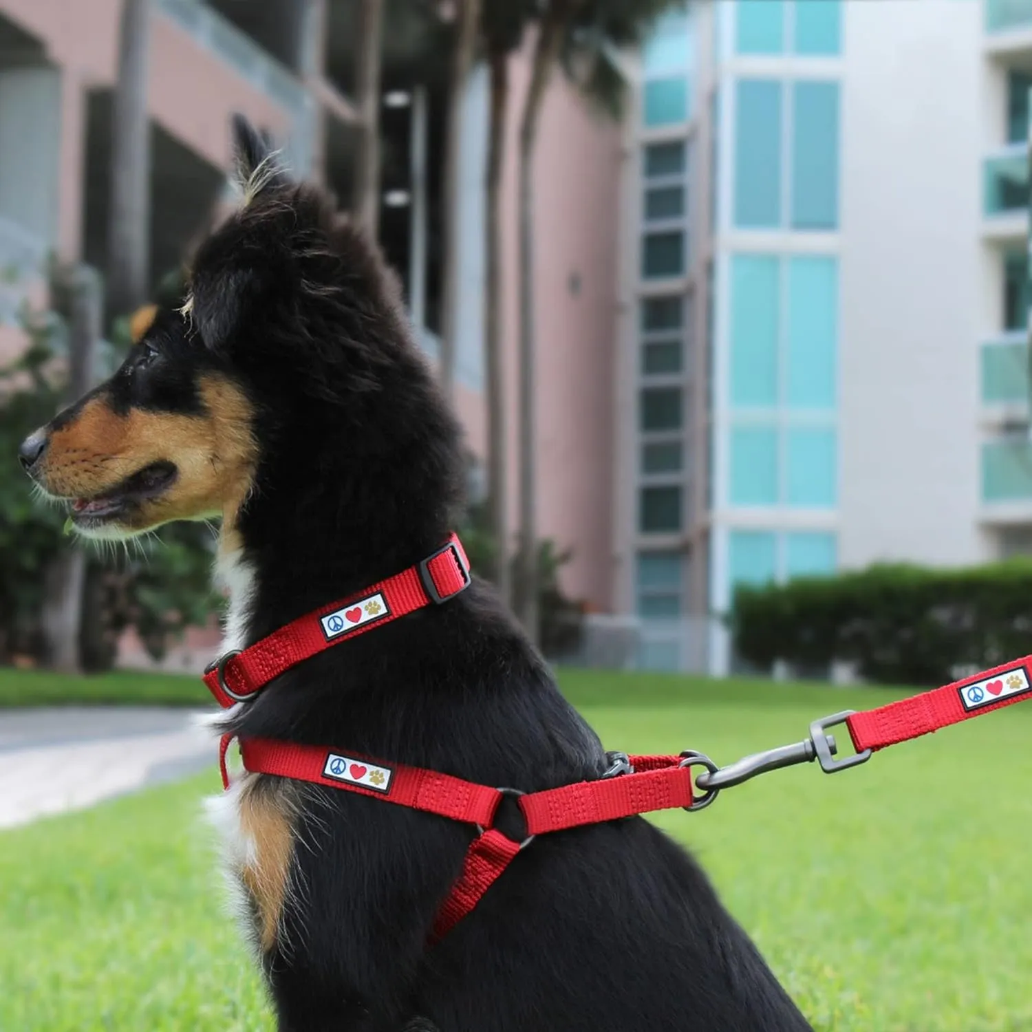 Pawtitas Step-in Dog Harness Solid Color Vest for Training & Walking, Puppy & Small Dog Black Onyx