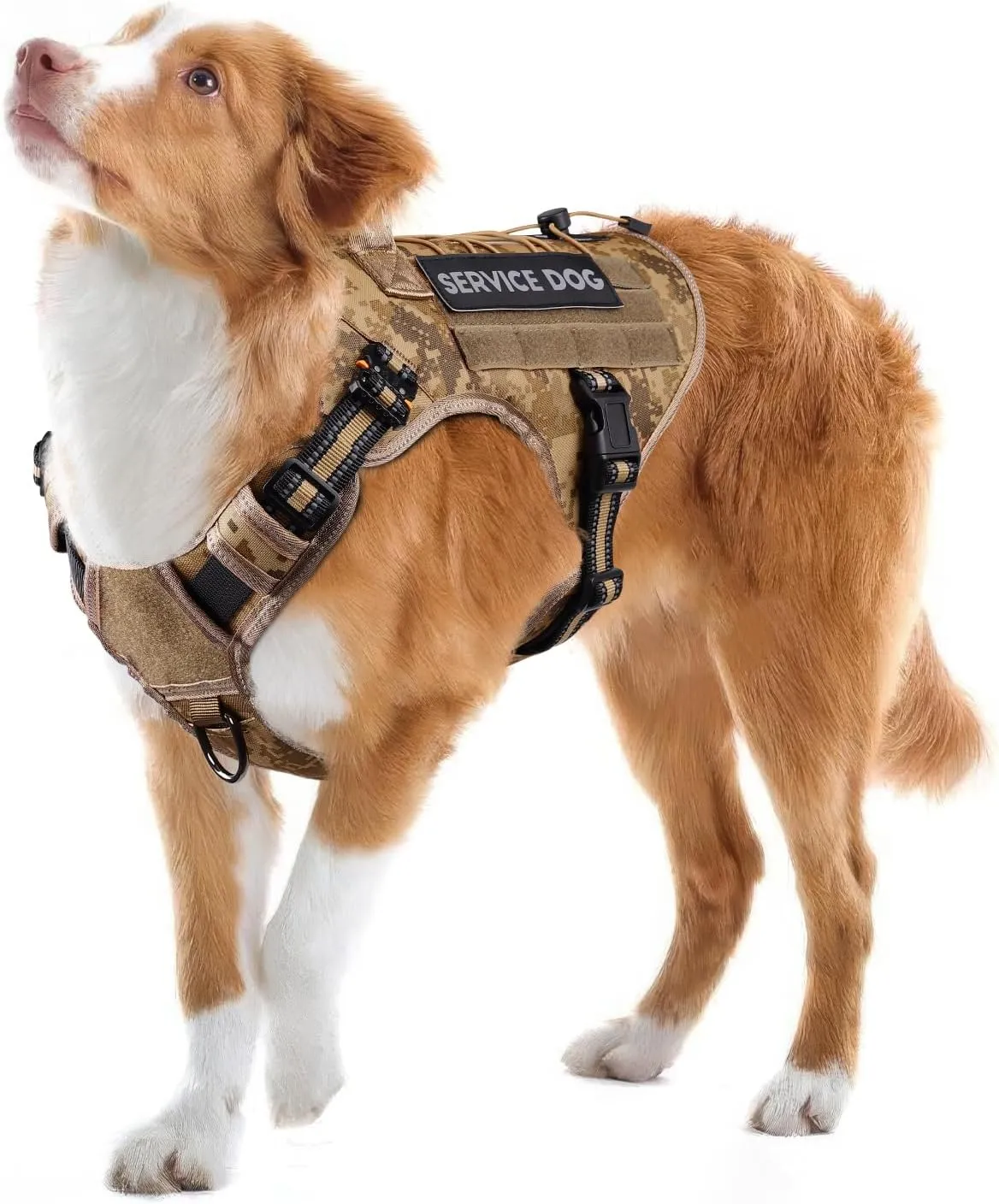 PETNANNY Tactical Dog Harness Reflective with ID Card,Service Dog Vest Harness for Medium Large Dogs,Emotional Support Vest with Padded Handle2 Reflective Patches for Training HuntingDesert Camo,L