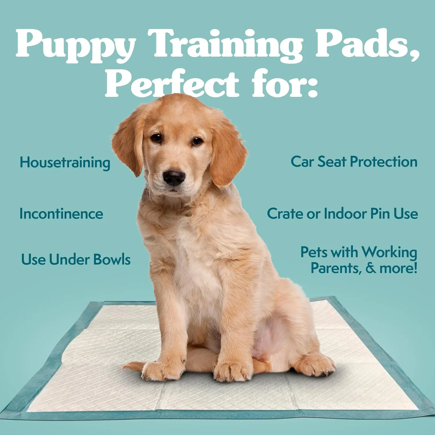Simple Solution Extra Large Puppy Training Pads  Leak-Proof Disposable Pee Pads for Dogs with Incontinence  Absorbent with Odor Control  28 x 30 Inches  200 Count