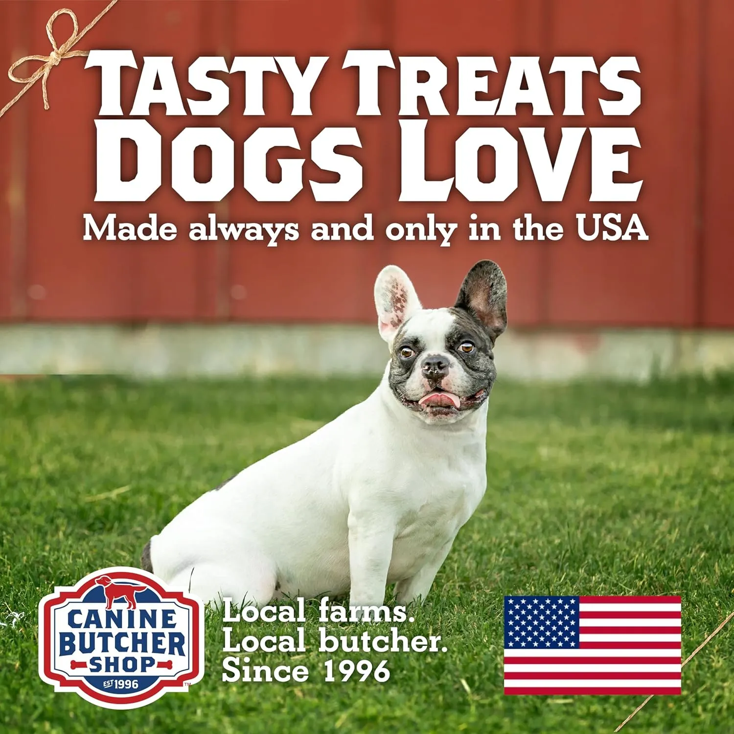 Turkey Tendons for Dogs Made and Raised in USA, All-Natural Chews for Small and Large Breeds, Single-Ingredient Treat, Healthy No Hide Dog Chews (8 oz)